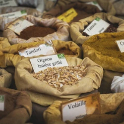 Producteur bio en Ille-et-Vilaine